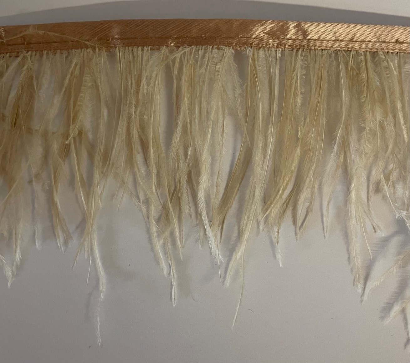 Federband - Beige (1m)