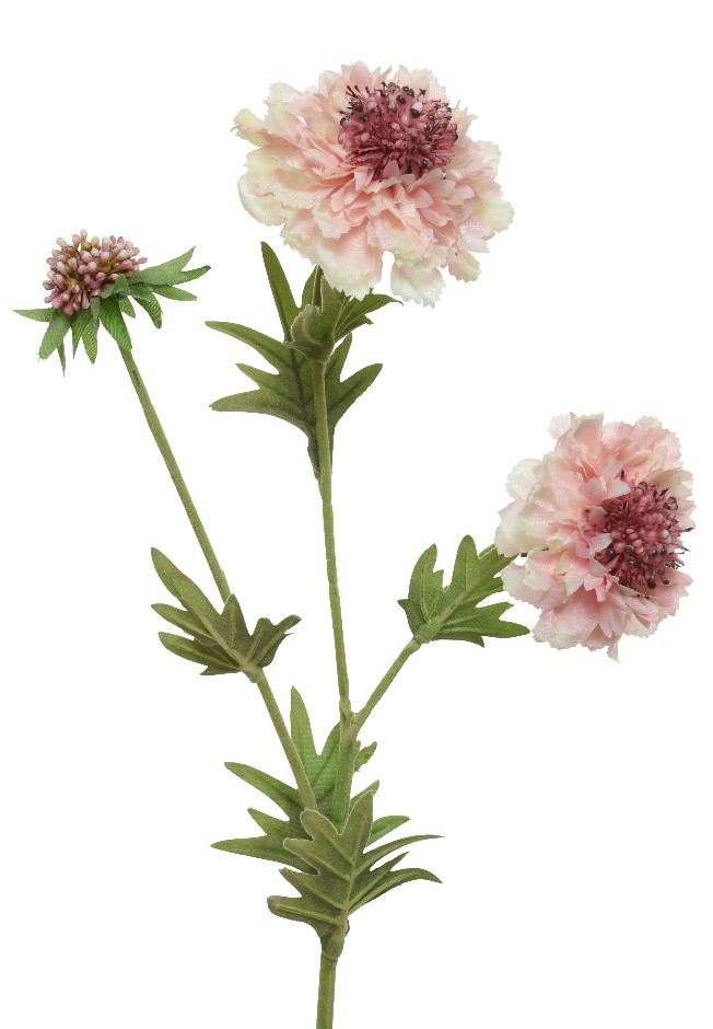 Blüten am Stiel - rosa K804065