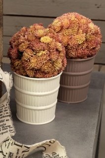 Dekor-Farbe chalky - Cappuchino