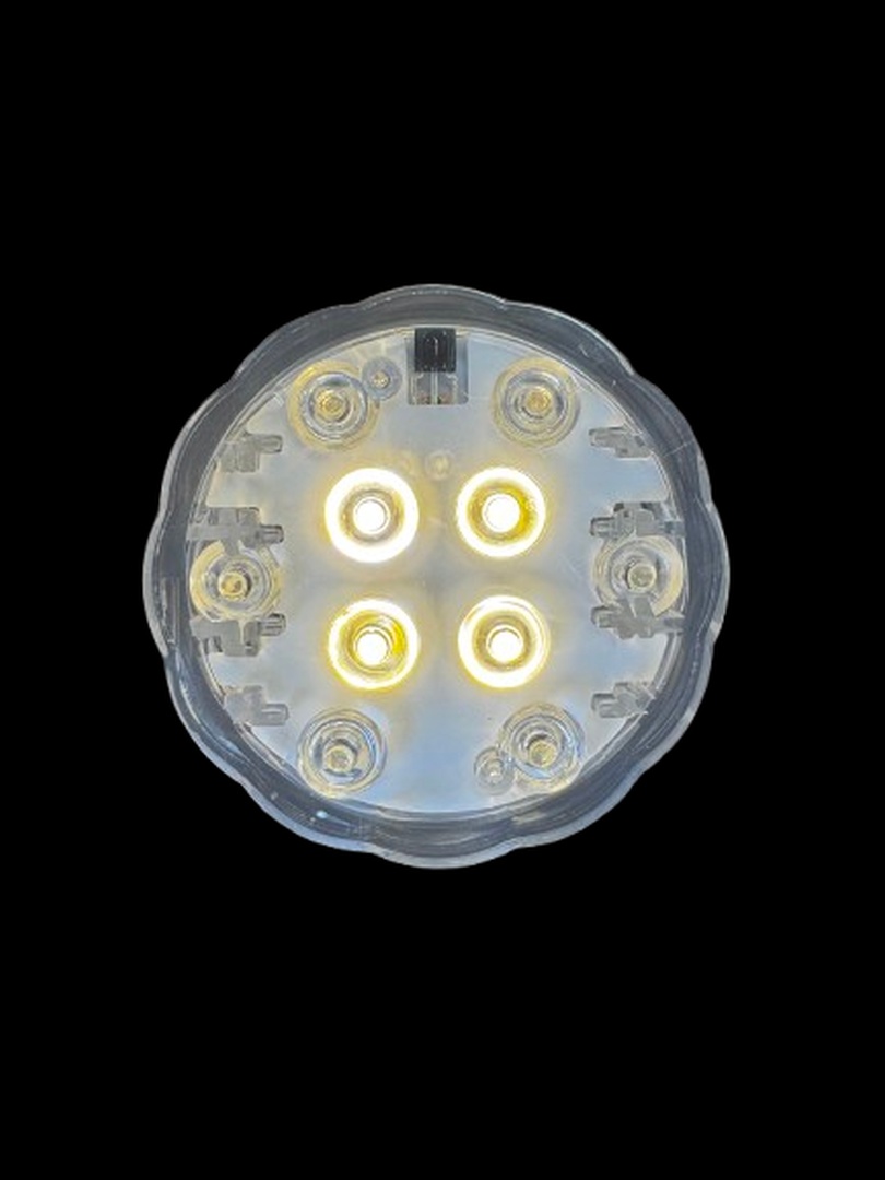 LED Licht mit Fernbedienung - alle Farben DS772996